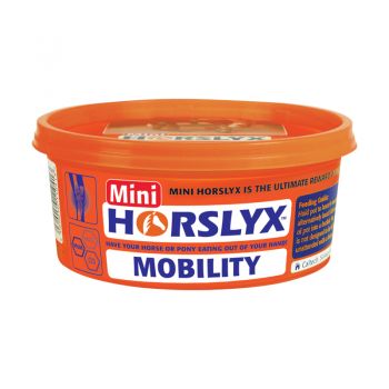 HORSLYX MOBILITY MINI LICK 650g