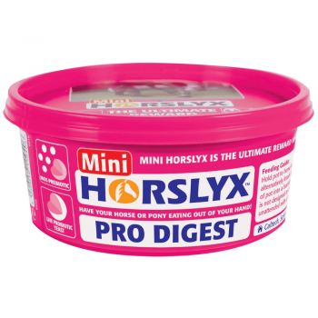 HORSLYX MINI LICKS PRO DIGEST 650g