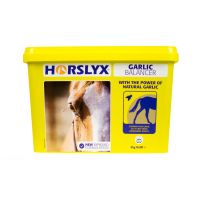 HORSLYX GARLIC STABLE LICK 5kg