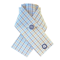 PONY CLUB OFFICIAL READY TIED STOCK
