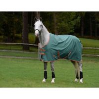 WEATHERBEETA COMFITEC TYRO STANDARD NECK 50g LITE PLUS TURN OUT RUG
