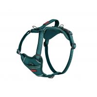 COMPANT OF ANAIMALS HALTI ANATOMY HARNESS TEAL