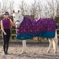 STORMX ORIGINAL 100g TURNOUT RUGS - THELWELL COLLECTION PONY FRIENDS