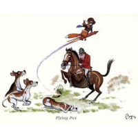 BRYN PARRY - FLYING FOX