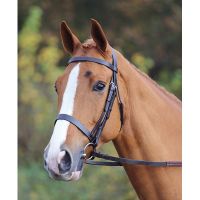 SHIRES AVIEMORE PLAIN BRIDLE