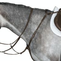 COLLEGIATE HUNTER BREAST PLATE IV BROWN