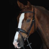 COLLEGIATE MONO CROWN PADDED RAISED FLASH BRIDLE