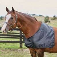 WEATHERBEETA SATIN SHOULDER GUARD