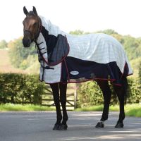 WEATHERBEETA BREEZE RUG WITH SURCINGLE III COMBO