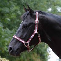 WB HEAADCOLLAR RUBY FULL