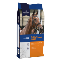 Dodson & Horrell Build Up Conditioning Cubes 20kg