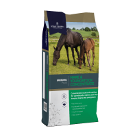 DODSON & HORRELL MARE & YOUNGSTOCK