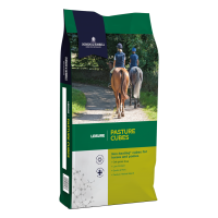 Dodson & Horrell Pasture Cubes 20kg