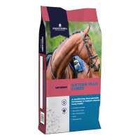 Dodson & Horrell Sixteen Plus Cubes 20kg