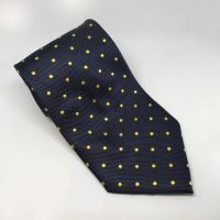 EQUETECH ADULT POLKA DOT SHOW TIE - NAVY/GOLD