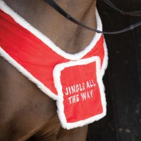 EQUETECH SANTAS HELPER BREASTPLATE -RED