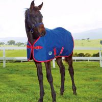 WEATHERBEETA ORIGINAL 1200D FOAL RUG II MEDIUM