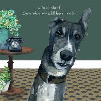 GREYHOUND SMILE GREETING CARD | ANNA DANIELLE