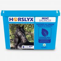 HORSLYX MINT 5kg