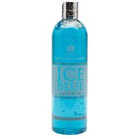 CARR DAY MARTIN ICE BLUE LEG COOLER 500ml