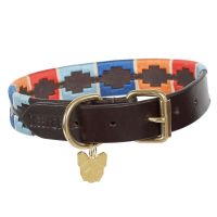 DIGBY & FOX POLO DOG COLLAR TURQUOISE/RED/ORANGE/BLUE