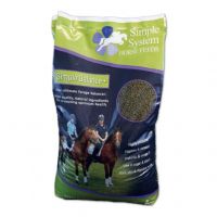 SIMPLE SYSTEMS SIMPLE BALANCE 15KG