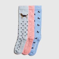 TOGGI LADIES BEAGLE PRINT SOCKS 3 PACK