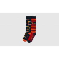 TOGGI DACHSUND SOCK TWO PACK NAVY AND ORANGE