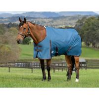 WEATHERBEETA COMFITEC CLASSIC STANDARD NECK 50g LITE PLUS TURN OUT RUG