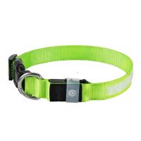 LED LIGHT UP FLASHING DOG COLLAR RECHARGEABLE GREEN