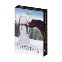 LINCOLN SNOWMAN ADVENT CALENDER WITH HORSE TREATS