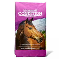 MOLLICHAFF CONDITION 15kg