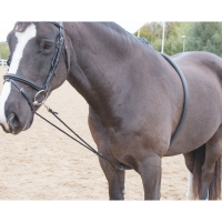 SHIRES SOFT LUNGING AID - BLACK